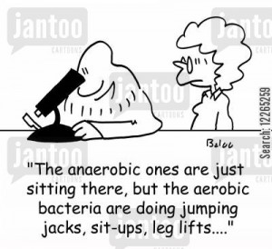 'The anaerobic ones are just sitting there, but the aerobic bacteria are doing jumping jacks, sit-up, leg lifts....'