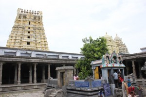 kanchipuram-ekambranath-temple-mango-tree